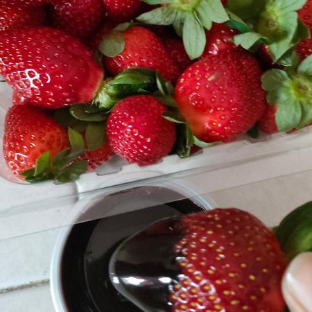 Ldr Homestay Cameron Highlands Dış mekan fotoğraf